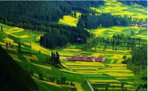 美丽中国 绿色发展